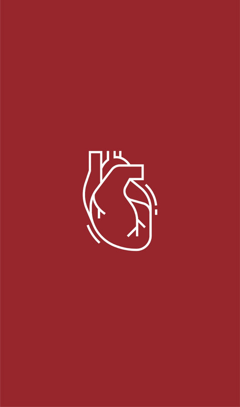 Sistema Cardiovascular