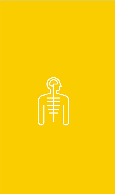 Sistema Articular y de Locomoción